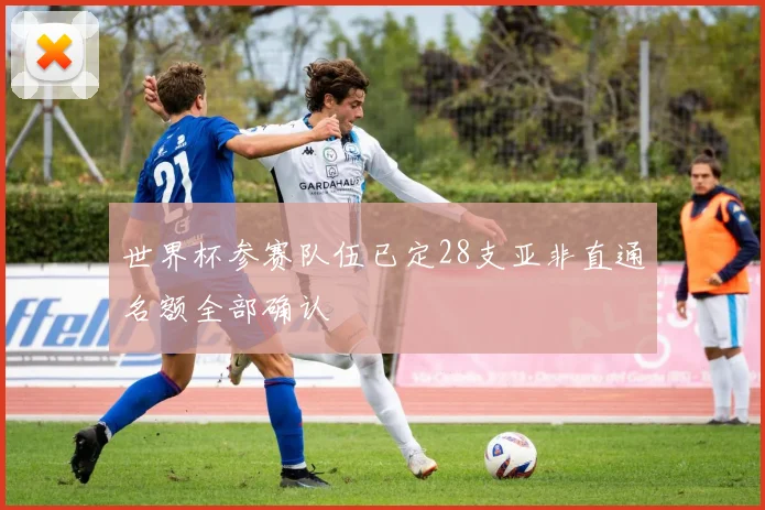 世界杯参赛队伍已定28支亚非直通名额全部确认