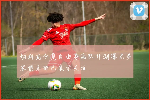 切利克今夏自由身离队计划曝光多家俱乐部已表示关注