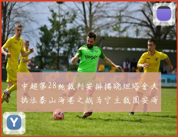中超第28轮裁判安排揭晓坦塔舍夫执法泰山海港之战马宁主裁国安海牛对决